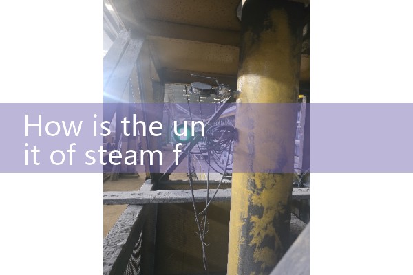 Steam flowmeter unit